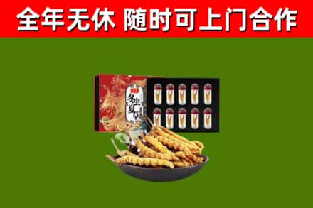 长治回收冬虫夏草价格