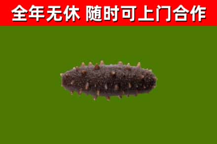 长治烟酒回收干海参.jpg